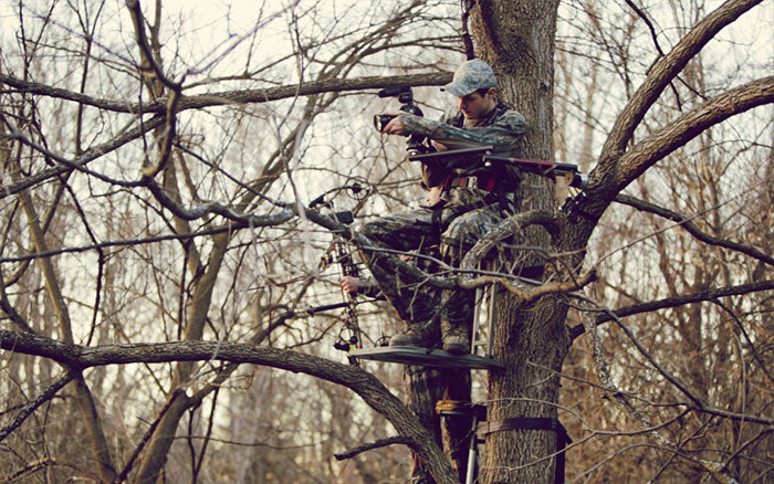 Start Filming Hunts for under $500