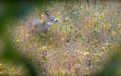 How To Get Started Self Filming Your Bow Hunts