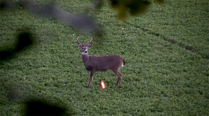 Deer Reaction Study - Best Shot Placement on a Deer