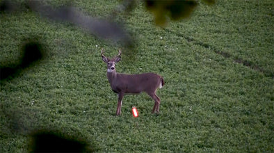 Deer Reaction Study - Best Shot Placement on a Deer