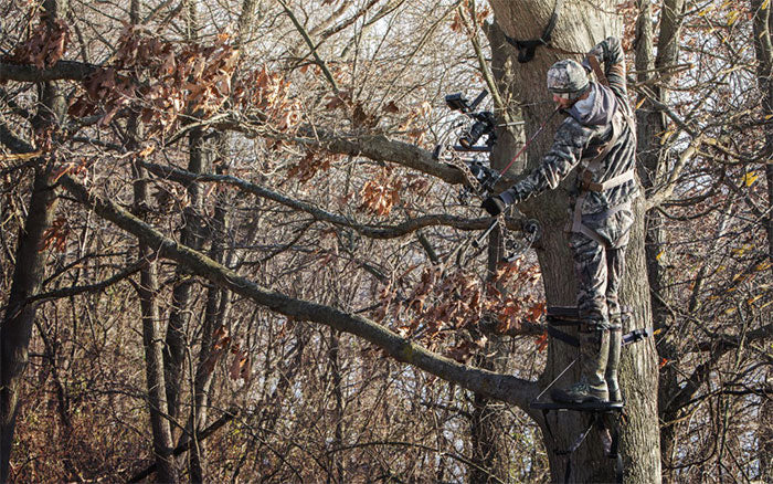 Self filming hunts: Getting beyond the Basics