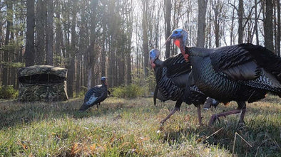 5 Ways To Make Your Turkey Hunt Footage More Entertaining
