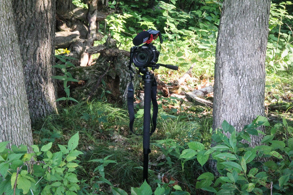 Monopod Stake