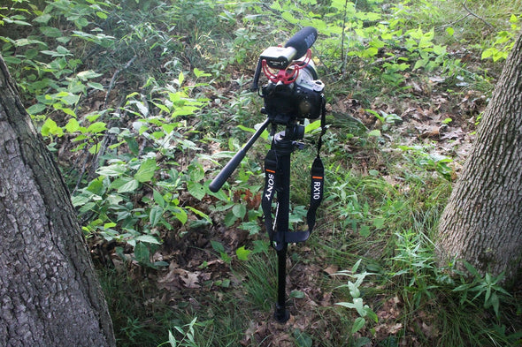 Monopod Stake