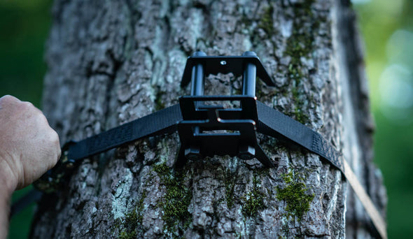 Standard Tree Base - Version 2.0 - 5 Pack