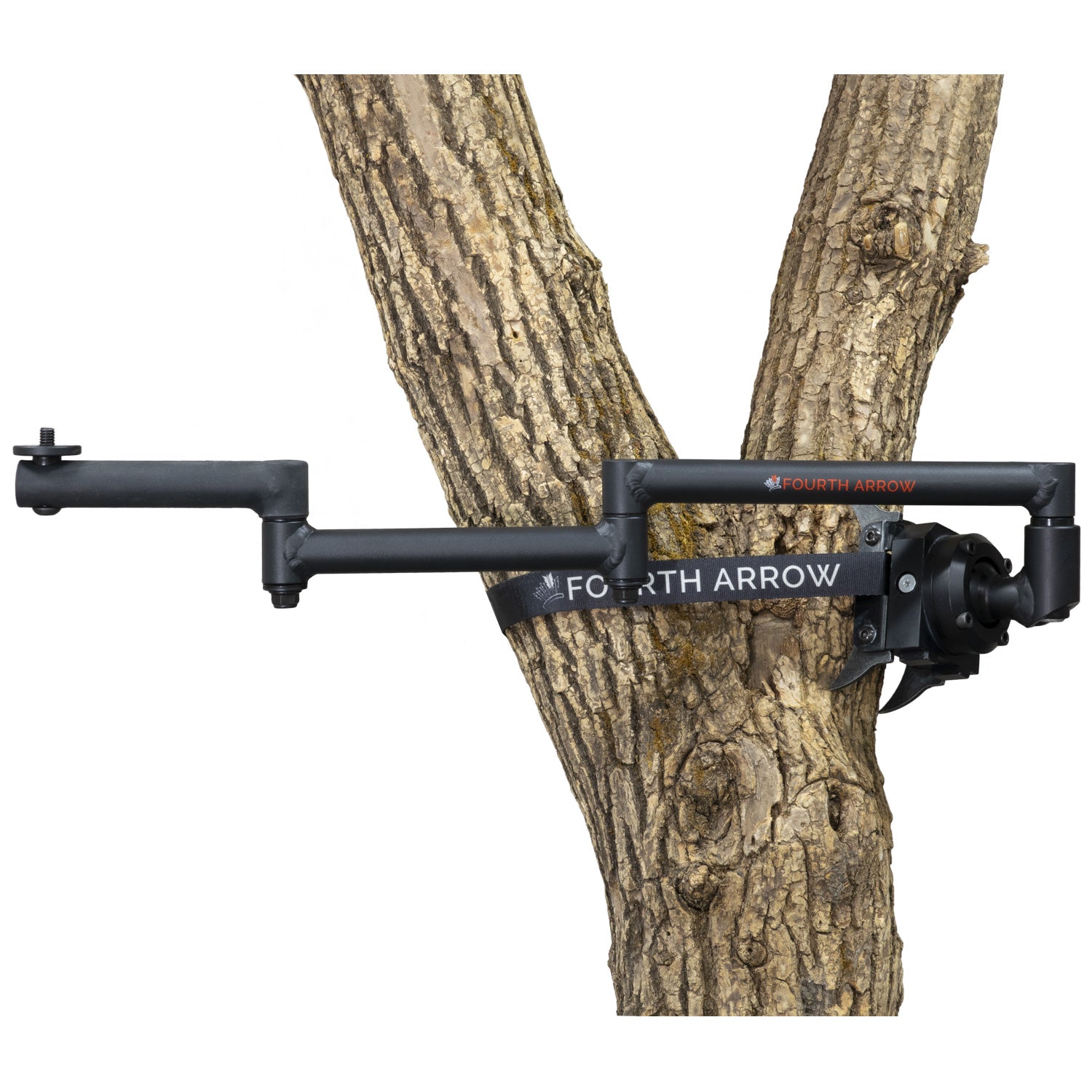 Tree Rifle Support Tree Arms Tree Lovers Up In Arms Against Corporation For Axing Banyan